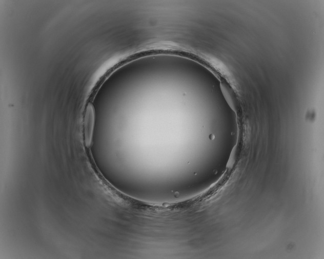 X0000091341326200708171403