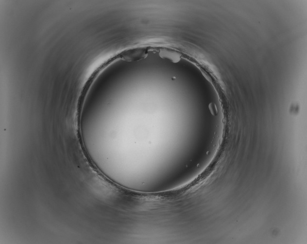 X0000091341328200708171403