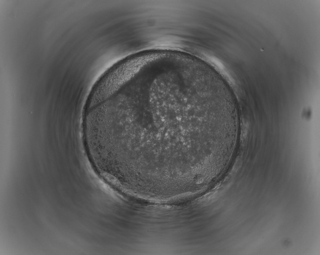 X0000091341331200708171403