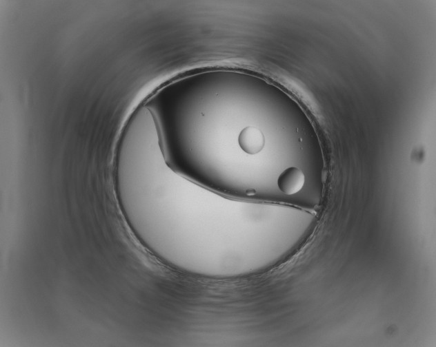 X0000091341332200708171403