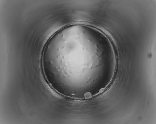 X0000091341333200708171403