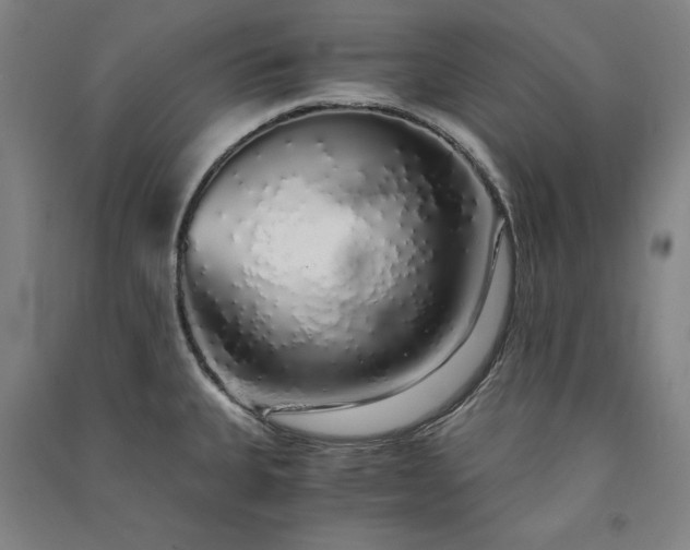 X0000091341335200708171403