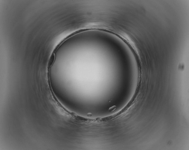 X0000091341336200708171403