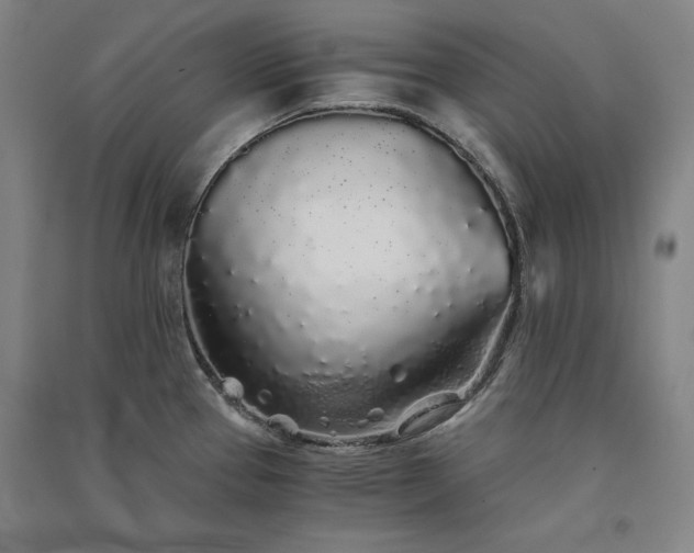 X0000091341337200708171403