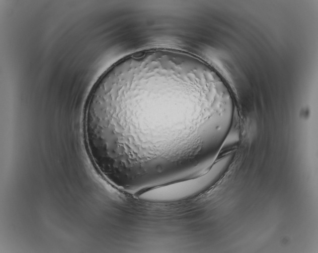 X0000091341339200708171403