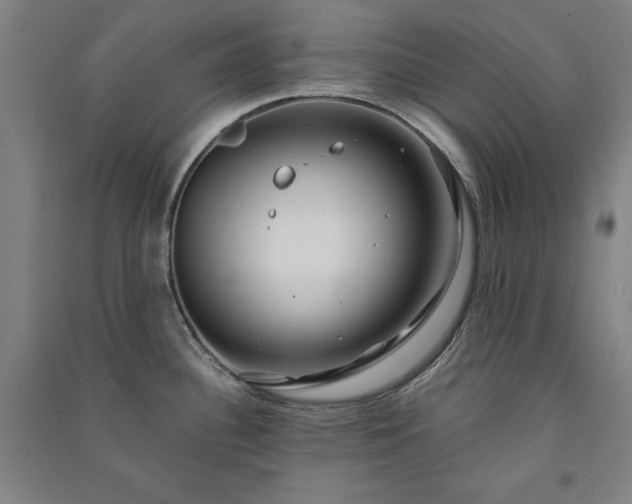 X0000091341340200708171403