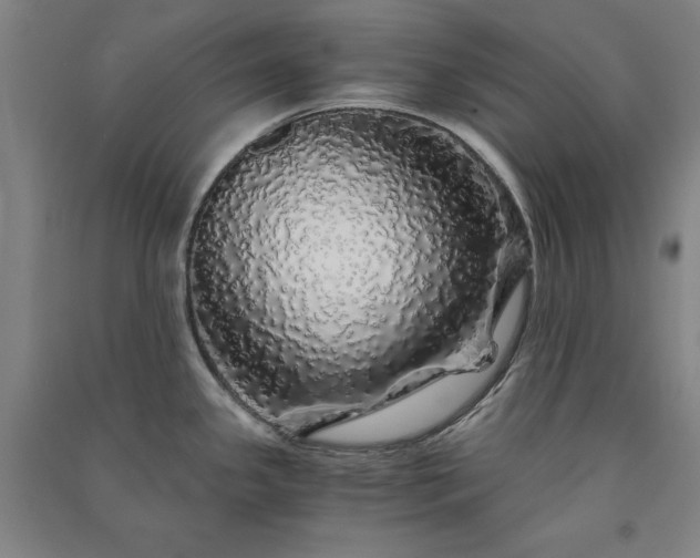 X0000091341341200708171403