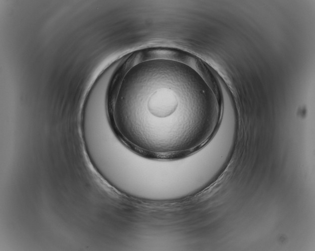 X0000091341342200708171403