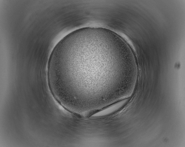 X0000091341343200708171403