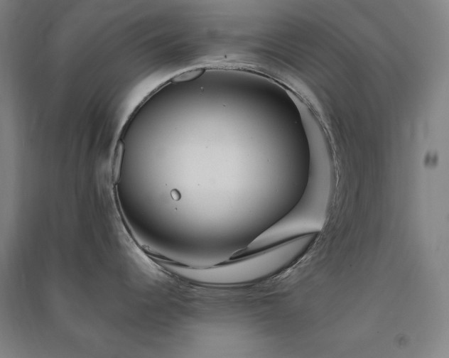 X0000091341344200708171403