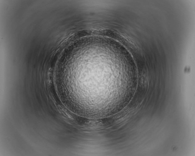 X0000091341346200708171403