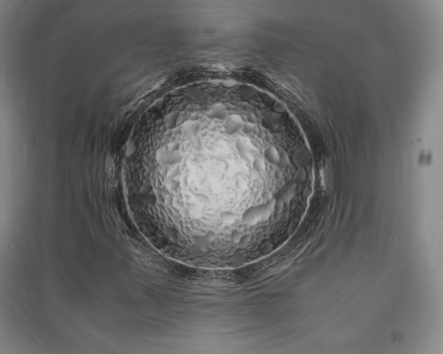 X0000091341347200708171403