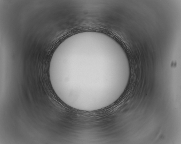 X0000091341348200708171403