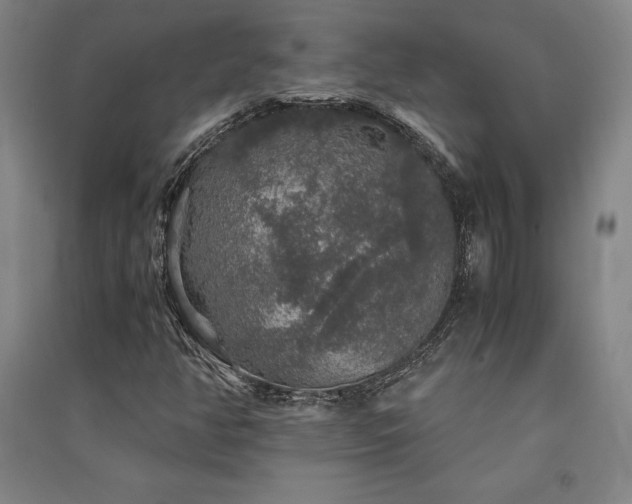 X0000091341350200708171403