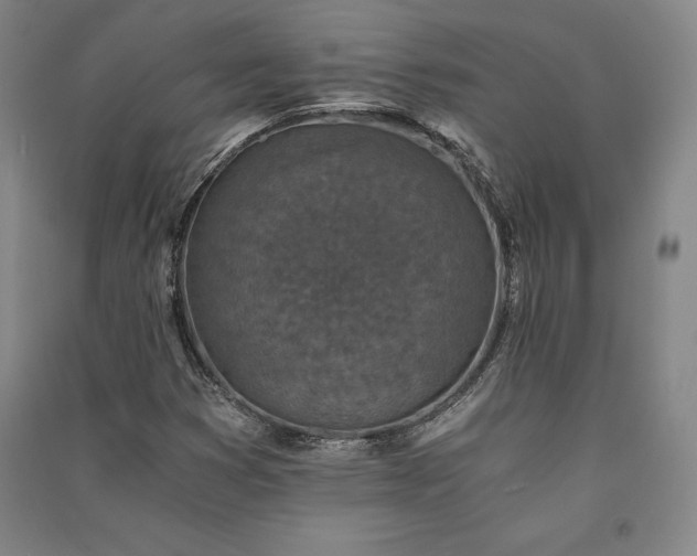 X0000091341353200708171403