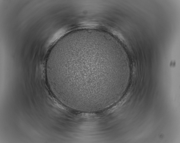 X0000091341354200708171403