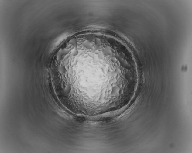 X0000091341355200708171403