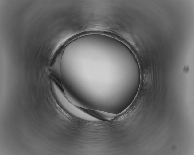 X0000091341356200708171403