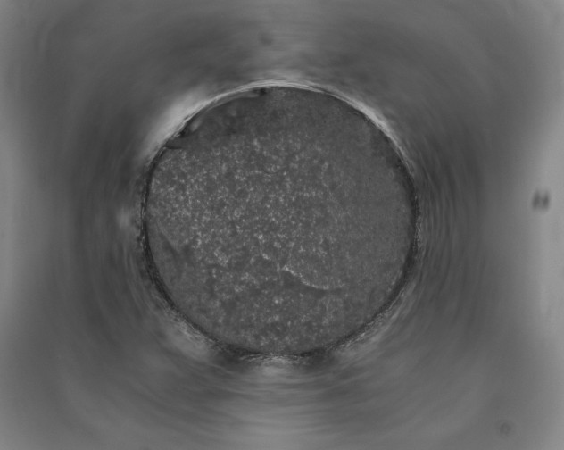 X0000091341359200708171402