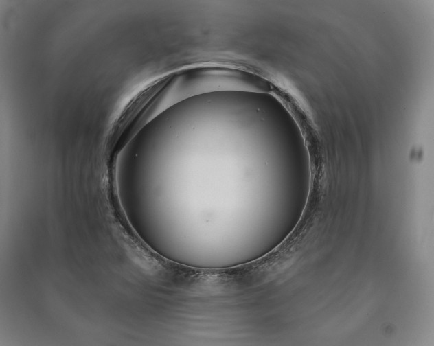 X0000091341360200708171402