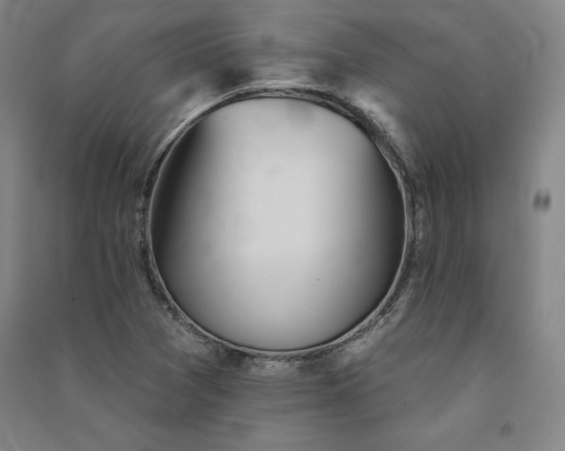 X0000091341361200708171402