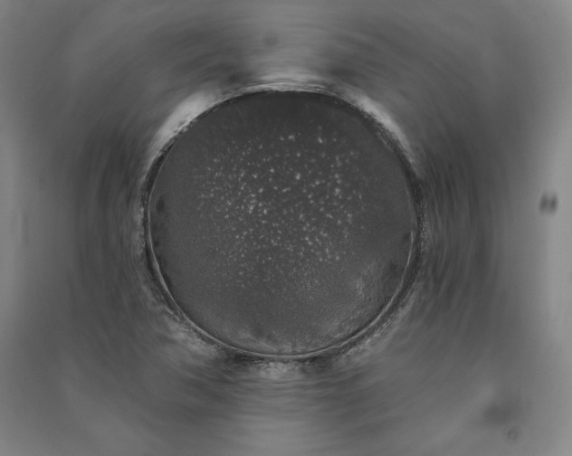 X0000091341362200708171402