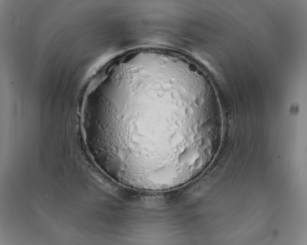 X0000091341363200708171402