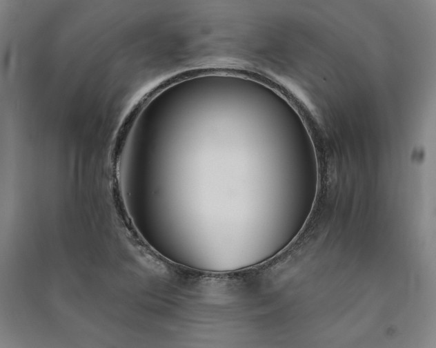 X0000091341364200708171402