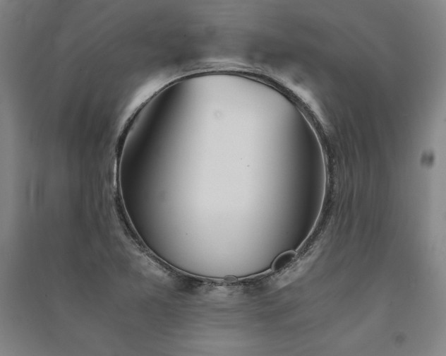 X0000091341365200708171402