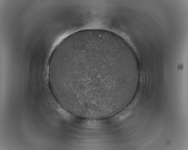 X0000091341366200708171402