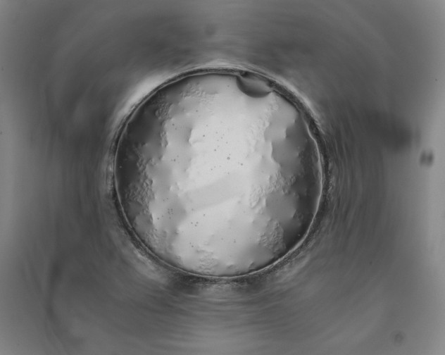 X0000091341367200708171402