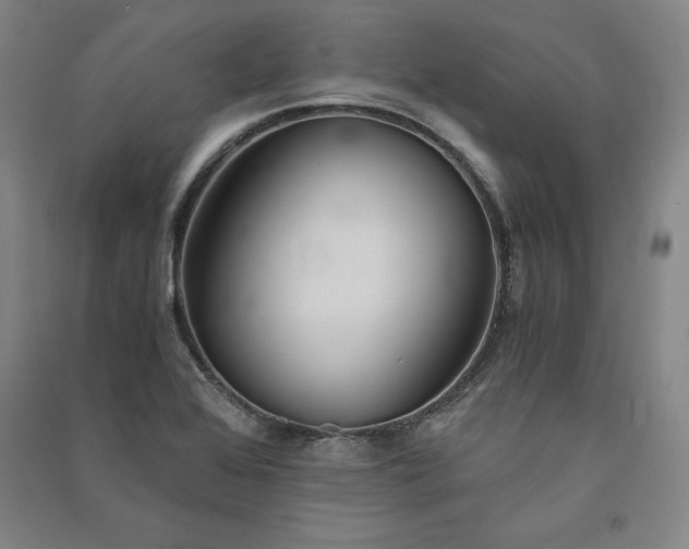 X0000091341368200708171402