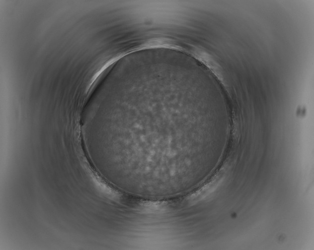 X0000091341369200708171402