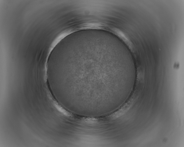 X0000091341370200708171402