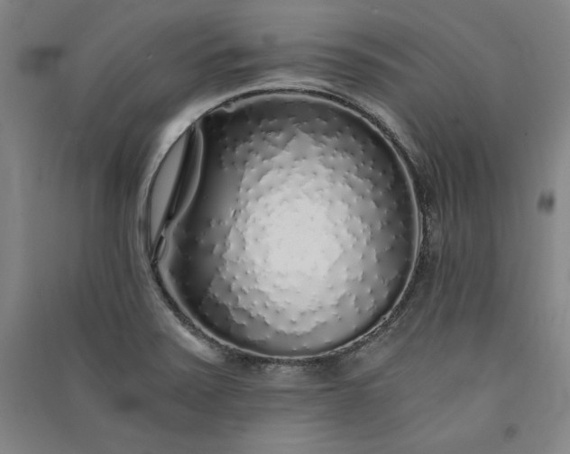 X0000091341371200708171402