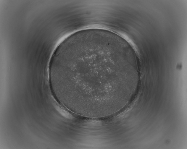 X0000091341372200708171402