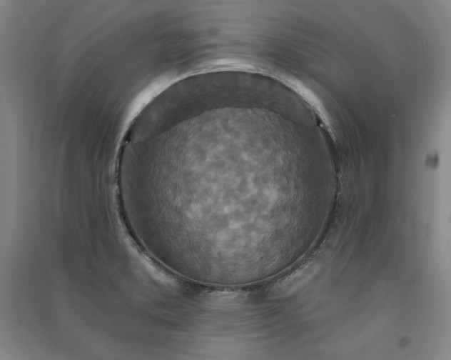 X0000091341373200708171402