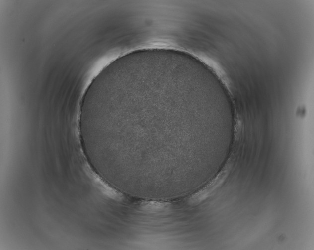 X0000091341374200708171402