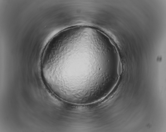 X0000091341375200708171402