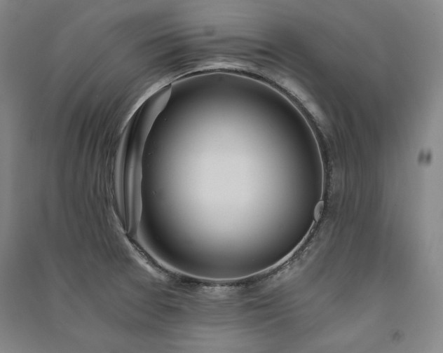 X0000091341377200708171402