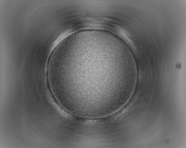 X0000091341378200708171402