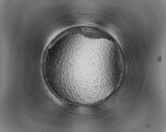 X0000091341379200708171402