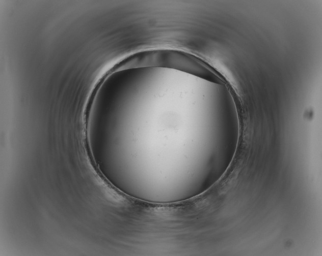 X0000091341380200708171402