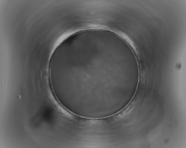 X0000091341381200708171402