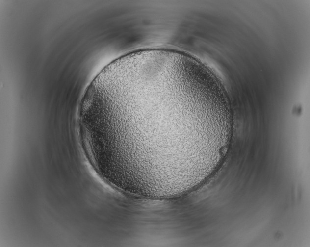 X0000091341382200708171402