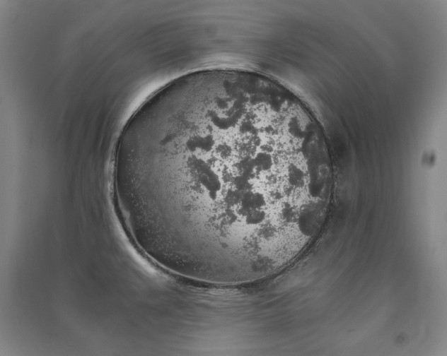 X0000091341383200708171402