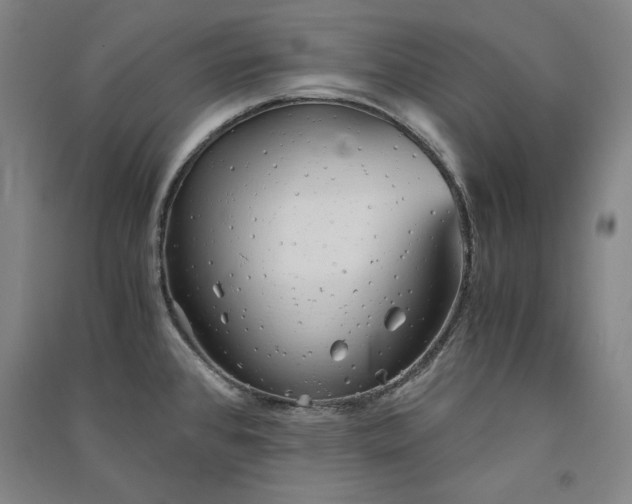 X0000091341384200708171402