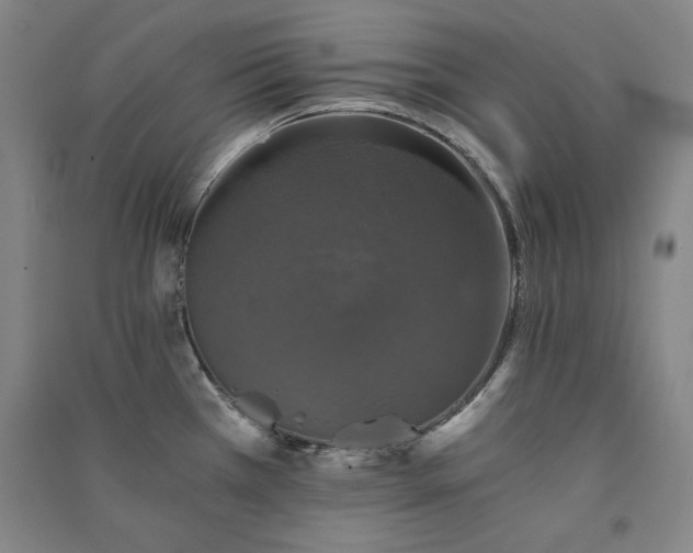 X0000091341385200708171402