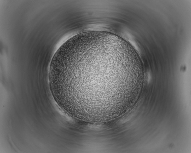 X0000091341386200708171402