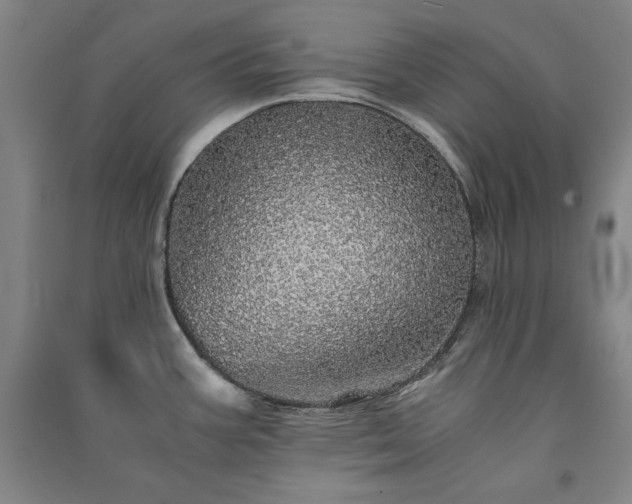 X0000091341387200708171402